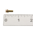 Ignition Module to Distributor Screws - Pair - 1983-92 Ford Truck, 1983-92 Ford Bronco