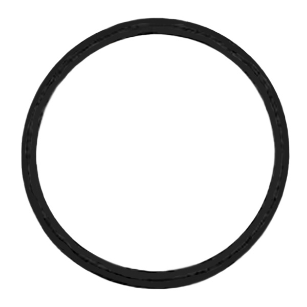 Devilbiss&reg; 2 Gallon Lid Gasket Santoprene