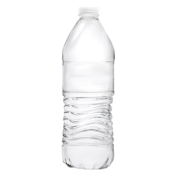 Water Bottle 16.9 oz 24/Case
